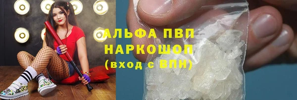 твердый Ростов