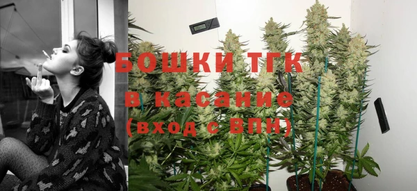 твердый Алексин