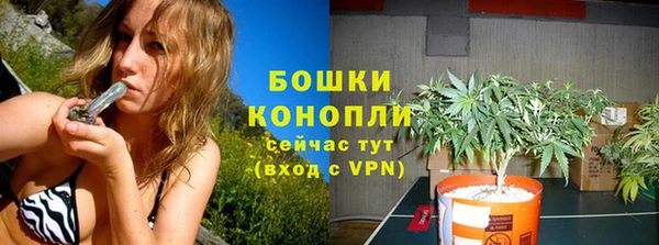 твердый Ростов
