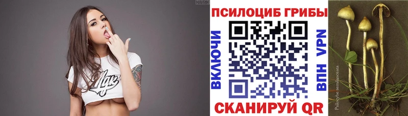 купить наркотик  Задонск  Галлюциногенные грибы мухоморы 